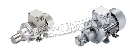 　　SCHERZINGER泵技術(shù)公司制造的移動(dòng)齒輪泵：物理和個(gè)人。