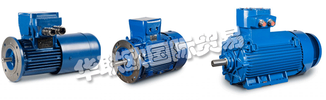 Regal成立于1954年，擁有CEMP?Srl，是意大利首批生產(chǎn)防爆防爆電機(jī)的公司之一。