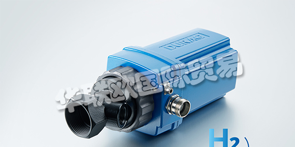 德國HEGWEIN火焰探測(cè)器產(chǎn)品介紹